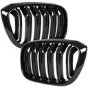 REJILLAS REJILLA REJILLA DE RADIADOR BMW X3 G01 X4 G02 NEGRO LUSTRE 