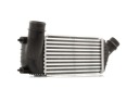 RIDEX 468I0044 ÉCHANGEUR AIR-AIR VERS FIAT SCUDO (270, 272) VERS PEUGEOT 807 MPVphoto 15