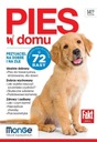 СОБАКА ДОМА, КОЛЛЕКТИВНАЯ РАБОТА