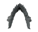 Челюсть дракона с набором кубиков из драконьих зубов — Dragon Teeth Dice Set