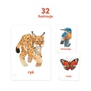 CzuCzu Карточки с картинками на веревочке Животные 2+