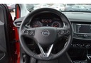 Opel Crossland EditionBusinessPack Salon PL Be... Nadwozie SUV