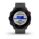 Garmin Forerunner 55 Серый