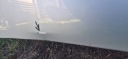 КАПОТ КРИШКА ДВИГУНА OPEL VIVARO B  (17401805129) фото min 8