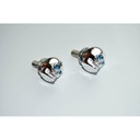 Винты номерного знака с декоративным черепом