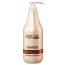 STAPIZ Sleek Line Repair Shampoo 1000мл шампунь для
