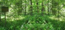 Маленькая камера draVires камера фотоловушка фотоловушка фотоловушка