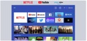 ДИЗАЙНЕР WANBO TT FULL HD NETFLIX 650lm ЧЕРНЫЙ