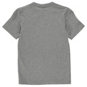 Everlast T Shirt pre chlapcov šedá r 13 rokov EAN (GTIN) 5054994557229