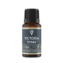 Victoria Vynn SALON NAIL PREP 15мл