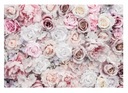ФОТОобои С ЦВЕТАМИ РОЗЫ И ПИОНЫ ДЛЯ СПАЛЬНИ ОБОИ НА НЕПОЛЕВЫЕ 368х254