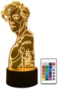 3D СВЕТОДИОДНАЯ ЛАМПА HARRY STYLES CHARACTER COLOR + USB-ПУЛЬТ ДУ