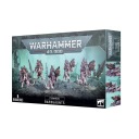 Барбгаунц Тираниды, Warhammer 40000