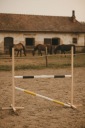 Хоббіхорс Super Hobby Horse 160Cm 120 Cm
