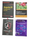 Zestaw Front-end Developera: AngularJS, WordPress