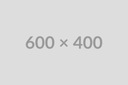СВЕЧА NGK 95003
