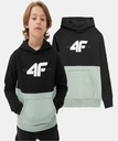 СПОРТИВНАЯ ТОЛСТОВКА С КАПЮШОНОМ ДЛЯ МАЛЬЧИКОВ 4F