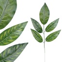 ИСКУССТВЕННЫЕ ЛИСТЬЯ МАНГО, КРОССИЯ 58см, ЛИСТЬЯ ДЛЯ БУКЕТОВ, СТРЕНЖИ, КРЕМОВЫЕ