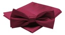 Мужской галстук-бабочка с нагрудным платком — Alties — бордовый цвет
