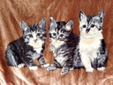 Одеяло Elway 160х210 см GREY CATS BROWN - АКРИЛОВЫЙ Толстый