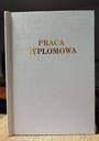 Печать и переплет Дипломная работа Белая блестящая золотая надпись