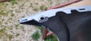 RENAULT LAGUNA III LIFT 2011- PARE-CHOCS AVANT ORIGINAL C031photo 16