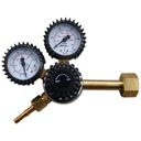 РЕДУКТОР АЗОТА РБ-АЗ-МЫШЬ