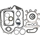КОМПЛЕКТ ПРОКЛАДОК ДЛЯ ТРАКТОРА BRIGGS&STRATTON 10,5-21Km INTEK AVS OHV 697110