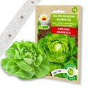 Семена овощей на ленте Firm Butter Lettuce 7м Устойчив к фитофторозу