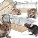 НАДЕЖНАЯ ГУМАНИТАРНАЯ МЫШОЛОВКА ДЛЯ КРЫС