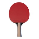 Ракетка для настольного тенниса Butterfly Timo Boll Silver OS