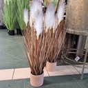 Искусственное украшение из пампасной травы, файка, 70С, цветок в горшке