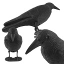 ПЛАСТИКОВЫЙ ВОРОН – ЭФФЕКТИВНЫЙ ОТПУСКАТЕЛЬ ДЛЯ МАЛЕНЬКИХ ПТИЦ