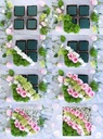 4x мокрые кубические цветы из цветочной пены из губки