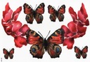Tatuaż tymczasowy motyl motyle wiosna kolor różowe