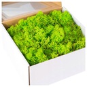 MECH chrobotek naturalny ozdobny TRAWIASTY reniferowy do stroików 200g mech