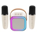 Мини-караоке-набор из 2 микрофонов + беспроводной динамик с Bluetooth.