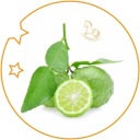 Туалетна вода Yodeyma 125 ml — фото 8