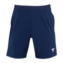 Мужские теннисные шорты Tecnifibre Team, темно-синие 23SHOMAR35 S