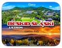 BESKID ŚLĄSKI USTROŃ MAGNES PAMIĄTKOWY WIT