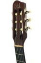 GODIN MULTIAC NYLON DUET AMBIENCE высшая модель идеальное состояние.