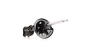 RIDEX 854S0272 AMORTISSEUR GAZEUX ENTRETOISE SUSPENSIONS ARRIÈRE PRAWOphoto 12