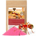 ФАРАОНОВЫЕ МУРАВЬИ-ВРЕДИТЕЛИ ЗАЩИТА ПОРОШКОМ БОРЬБА СО ВСЕМИ ГНЕЗДАМИ