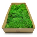 Олений мох - сферический - светло-зеленый 60x30см