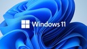Microsoft Windows 10 Home 32/64 bit BOX USB PL USB P2 HAJ-00070 Verzia produktu krabicová (pendrive)