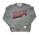 Толстовка Arizona Coyotes NHL CCM Pro Vintage L