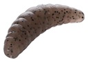 PRZYNĘTA MIKADO ROBAK M-AREA MAGGOT GUMA 3.4cm PE