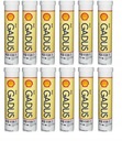 Smar Shell Gadus S2 V100 3 400g 12X KARTUSZY