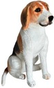 Beagle siedzący 65cm