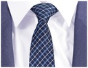 Мужской галстук GREG в клетку, темно-синий, жаккард, gw46